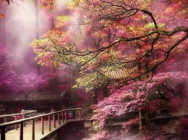 山西大祥英科机电设备安装有限公司举行十周年庆典